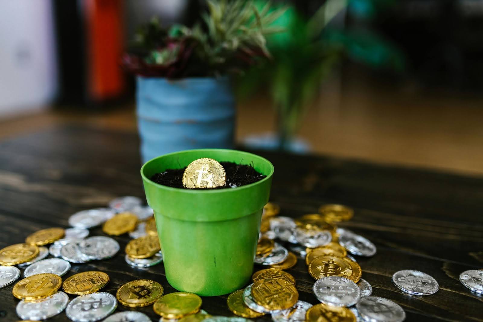 緑色の植木鉢の土に金色のビットコインが差し込まれ、周囲に金銀のビットコインコインが散らばっている様子
