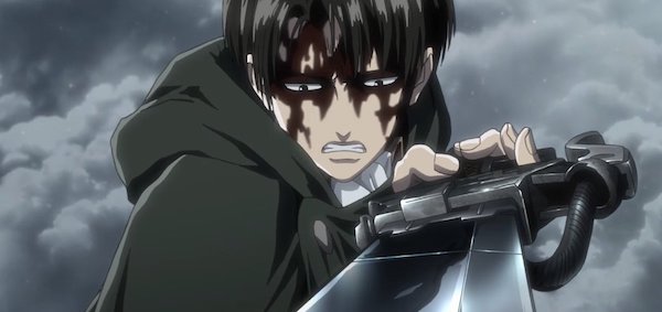 アッカーマン家の特徴